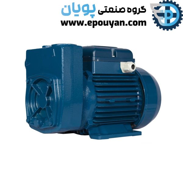 پمپ پنتاکس Pentax سوپاپ سرخود تکفاز 1 اسب MD100